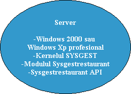 Server-Windows 2000 sau Windows Xp profesional-Kernelul SYSGEST-Modulul Sysgestrestaurant-Sysgestrestaurant API