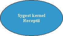 Sygest kernel
Receptii