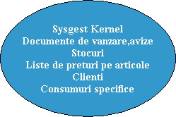 Sysgest KernelDocumente de vanzare,avizeStocuriListe de preturi pe articoleClientiConsumuri specifice