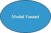 Modul Vanzari