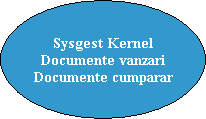 Sysgest Kernel
Documente vanzari
Documente cumparar