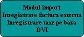 Modul import
Inregistrare factura externa
Inregistrare taxe pe baza
DVI